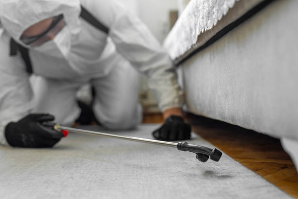 Professional Termite Control technician working in Metzger, OR