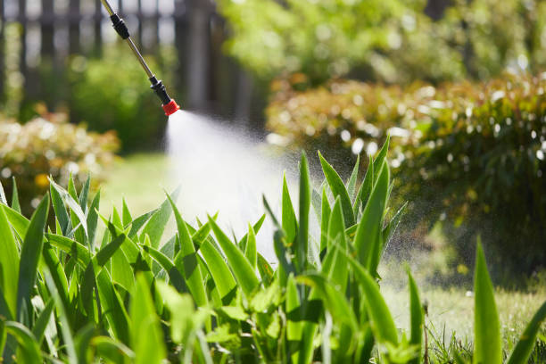 24/7 Emergency Termite Control experts in Metzger, OR
