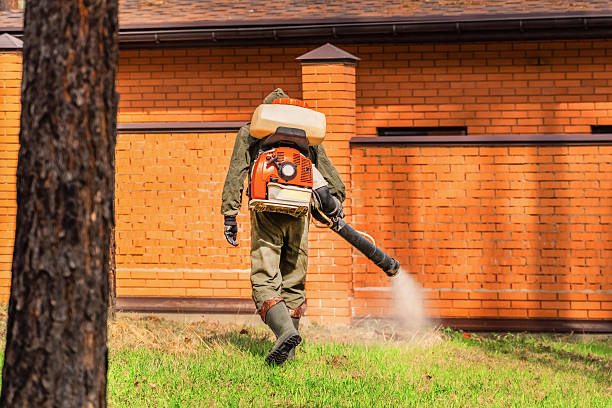 Trusted Termite Control service in Metzger, OR - Nex Pest Control